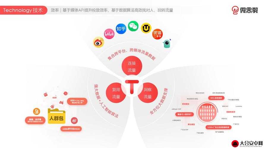 探索社交新境界，深度剖析现代社交系统的运作机制与未来趋势